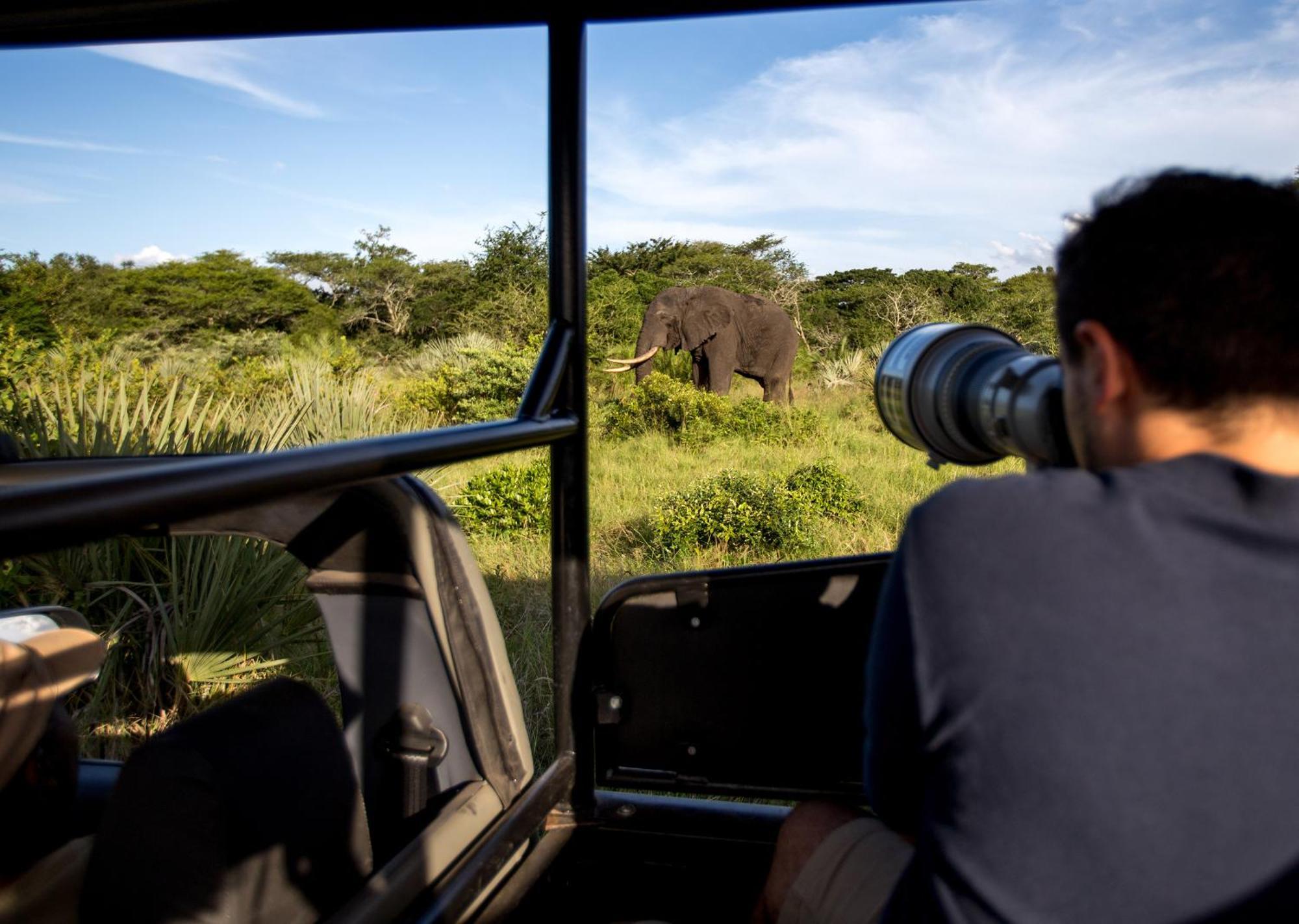 Royal Thonga Safari Lodge Sihangwane Extérieur photo