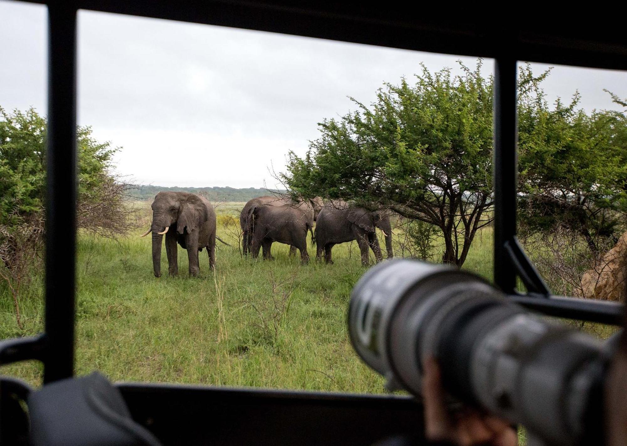 Royal Thonga Safari Lodge Sihangwane Extérieur photo